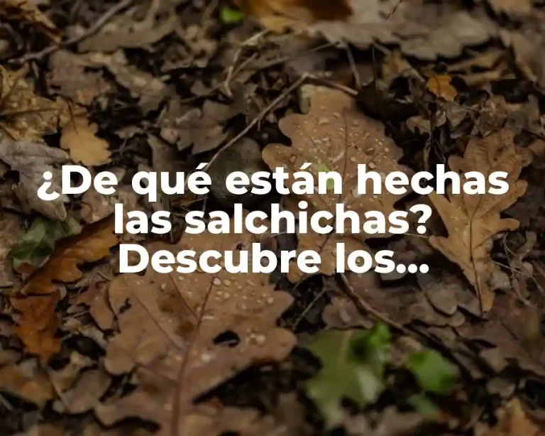 ¿De qué están hechas las salchichas? Descubre los ingredientes y procesos detrás de tu comida favorita