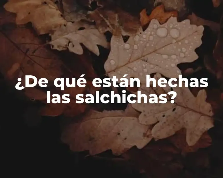 ¿De qué están hechas las salchichas?