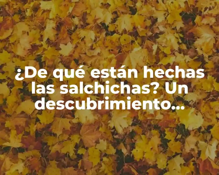 ¿De qué están hechas las salchichas? Un descubrimiento sorprendente
