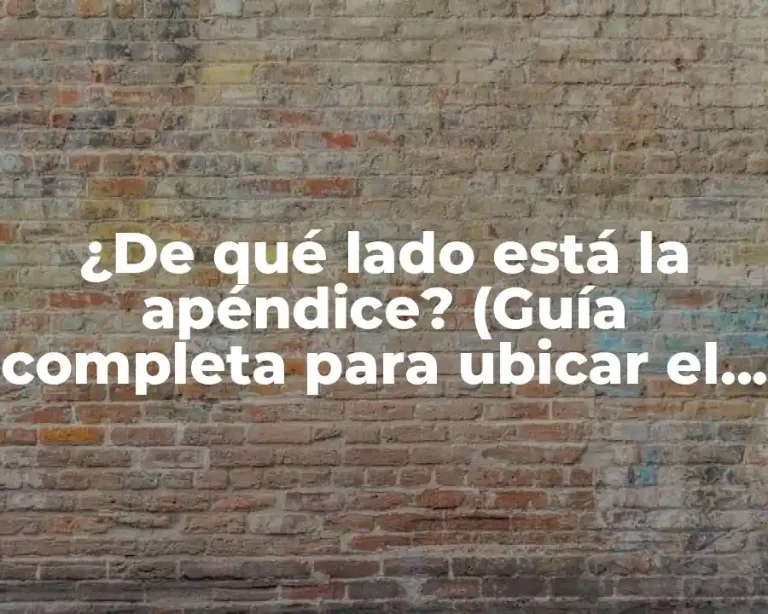 ¿De qué lado está la apéndice? (Guía completa para ubicar el apéndice)