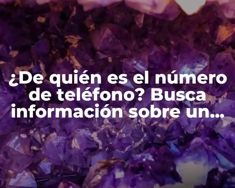 ¿De quién es el número de teléfono? Busca información sobre un número desconocido