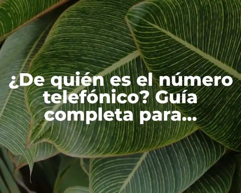 ¿De quién es el número telefónico? Guía completa para identificar un número desconocido