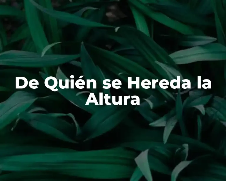 De Quién se Hereda la Altura