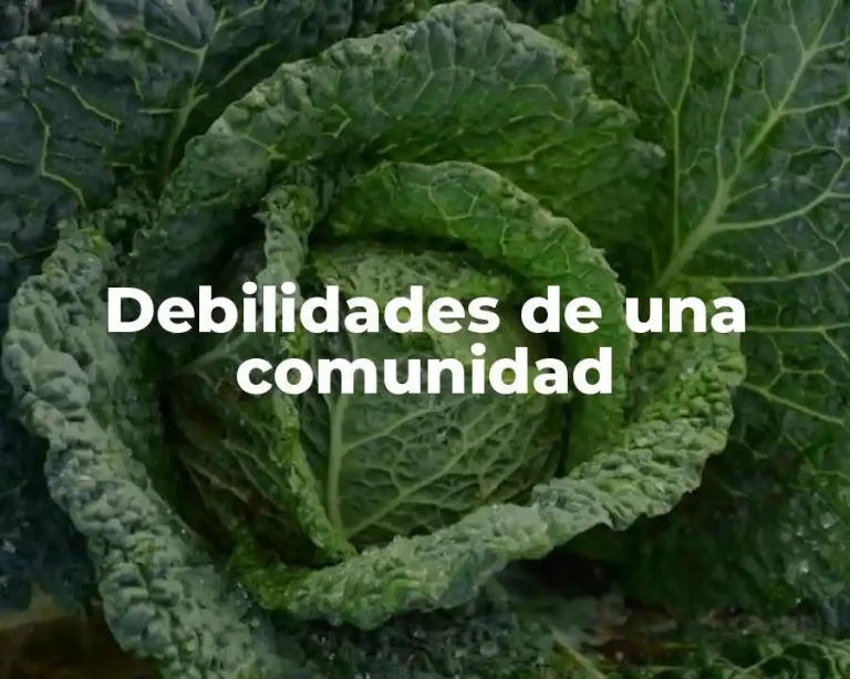 Debilidades de una comunidad