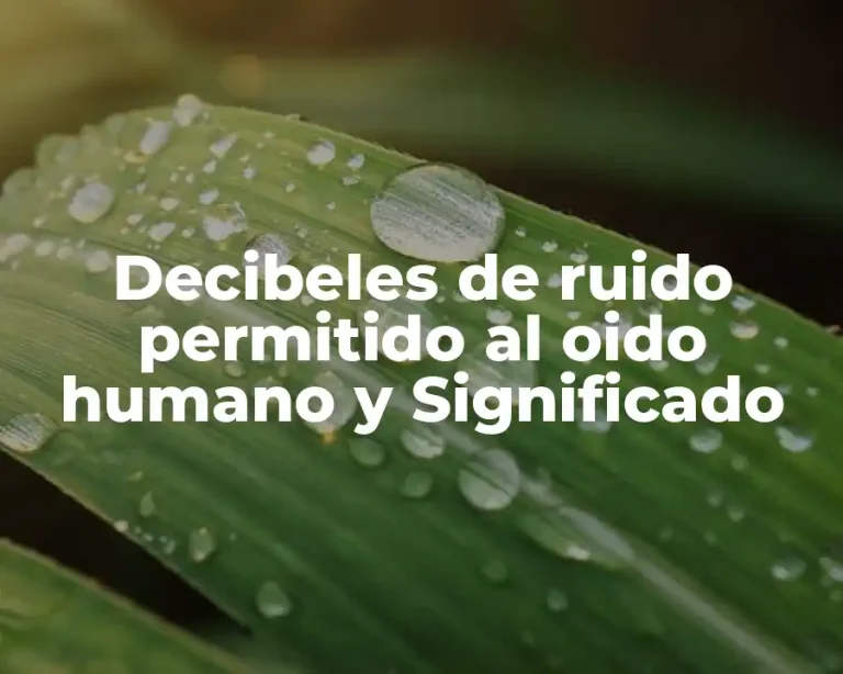 Decibeles de ruido permitido al oido humano y Significado