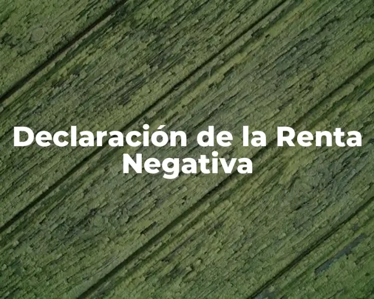 Declaración de la Renta Negativa
