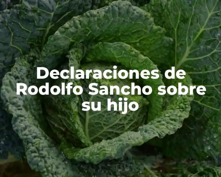 Declaraciones de Rodolfo Sancho sobre su hijo