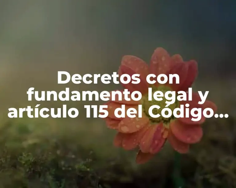 Decretos con fundamento legal y artículo 115 del Código Federal de Procedimientos Administrativos
