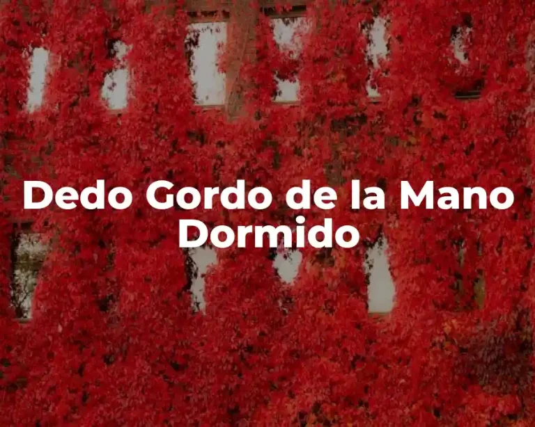 Dedo Gordo de la Mano Dormido