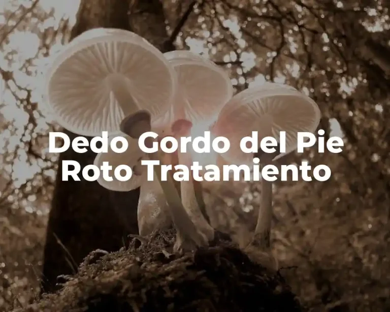 Dedo Gordo del Pie Roto Tratamiento