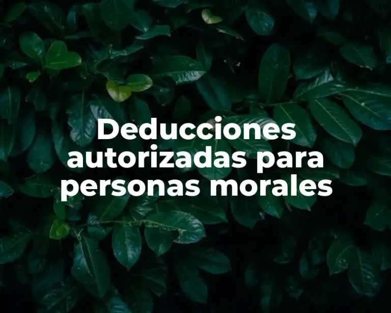 Deducciones autorizadas para personas morales