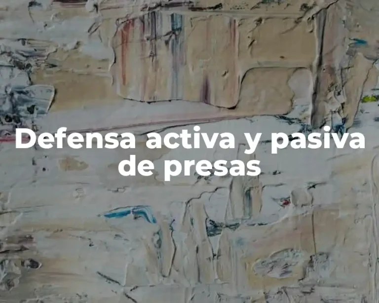 Defensa activa y pasiva de presas