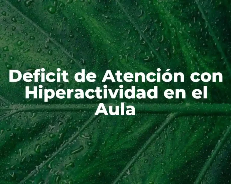 Deficit de Atención con Hiperactividad en el Aula