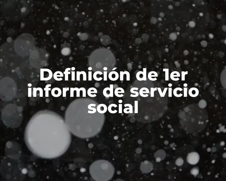 Definición de 1er informe de servicio social