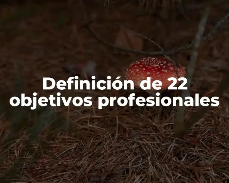 Definición de 22 objetivos profesionales