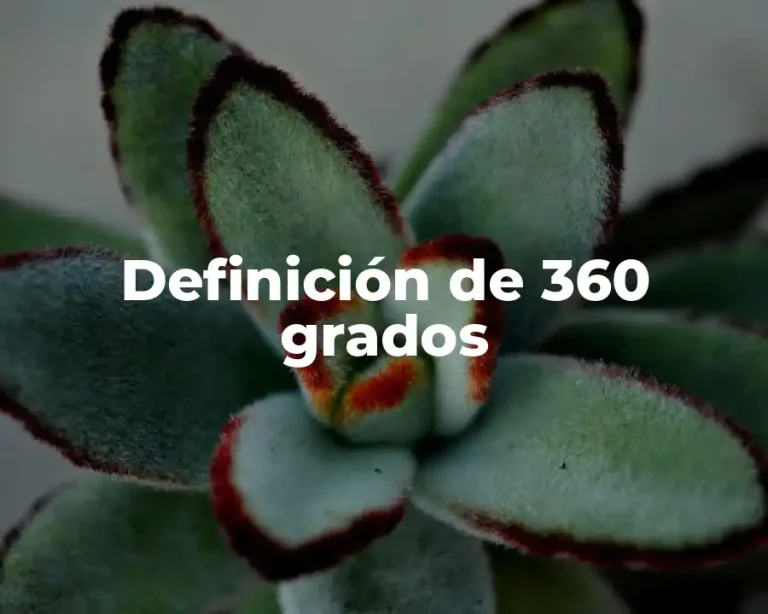 Definición de 360 grados