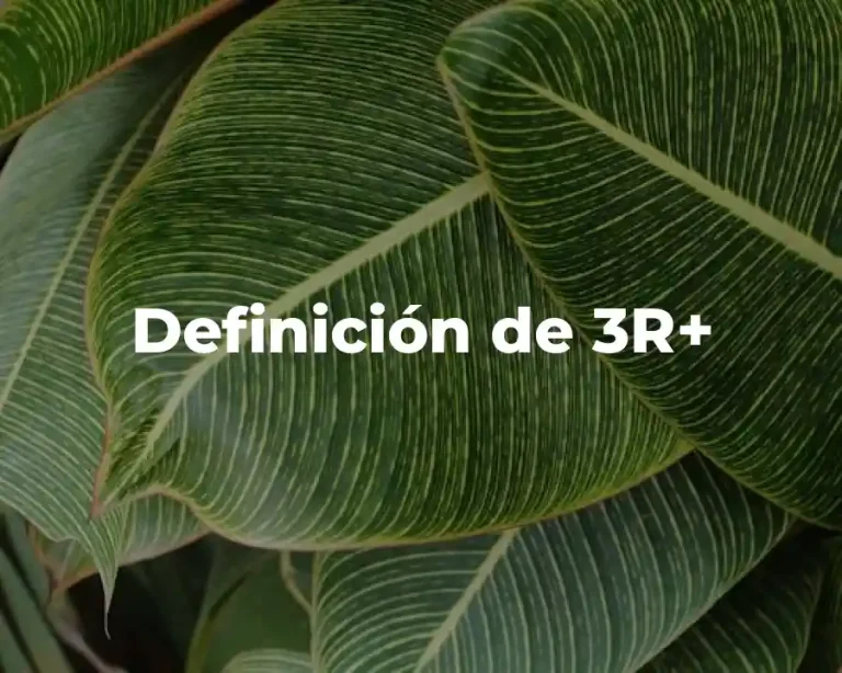 Definición de 3R+