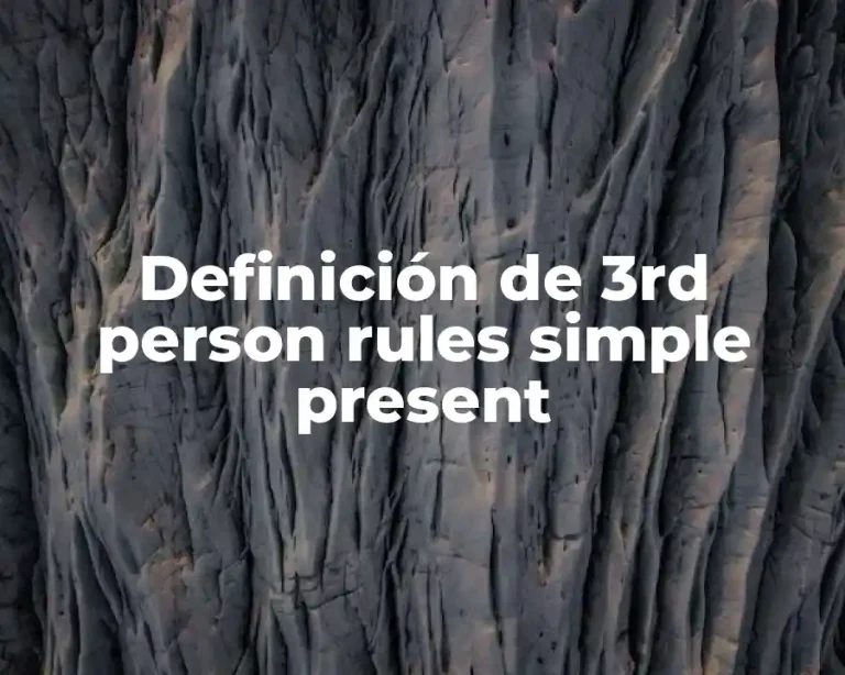 Definición de 3rd person rules simple present