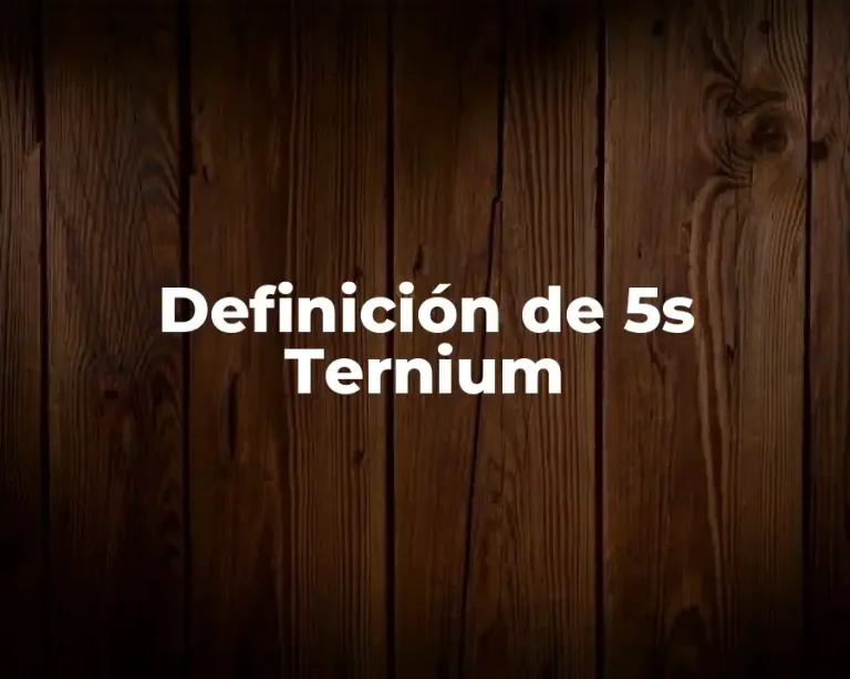 Definición de 5s Ternium