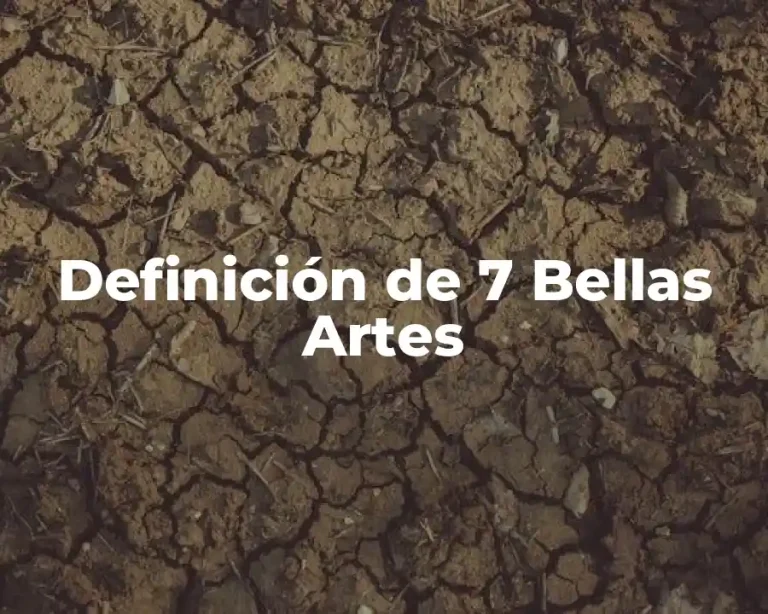 Definición de 7 Bellas Artes