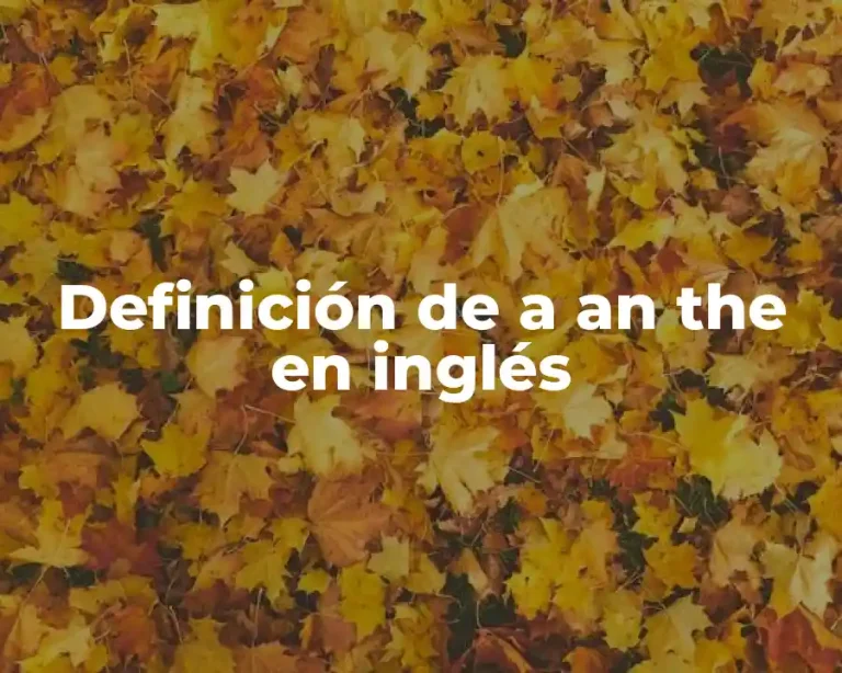 Definición de a an the en inglés