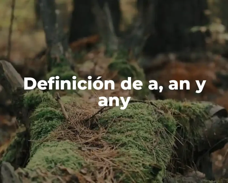 Definición de a, an y any