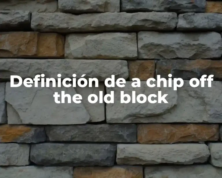 Definición de a chip off the old block