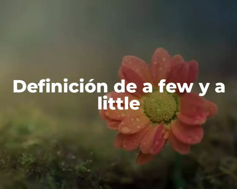 Definición de a few y a little
