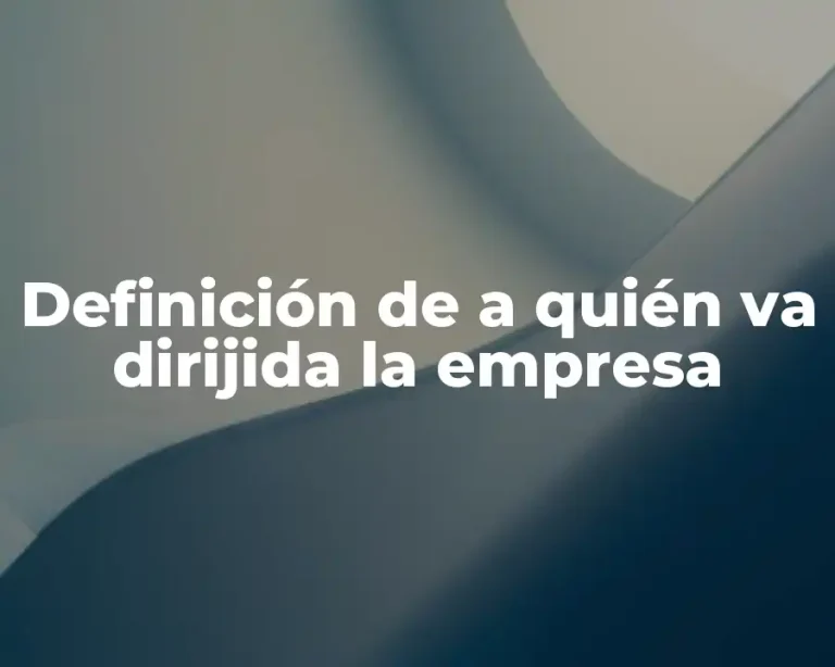 Definición de a quién va dirijida la empresa