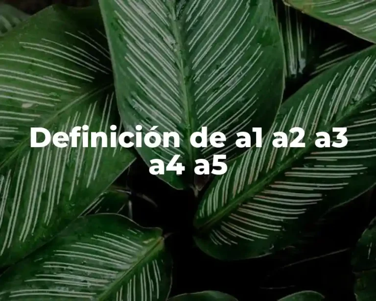 Definición de a1 a2 a3 a4 a5