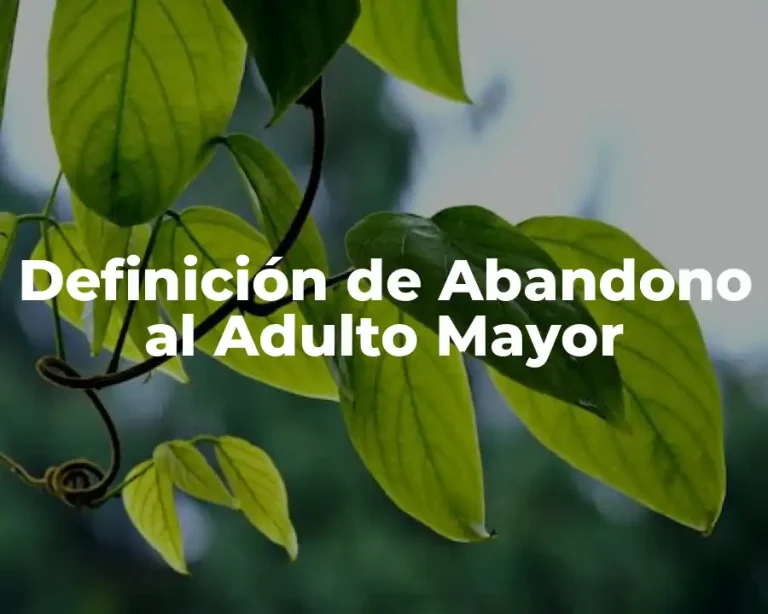 Definición de Abandono al Adulto Mayor