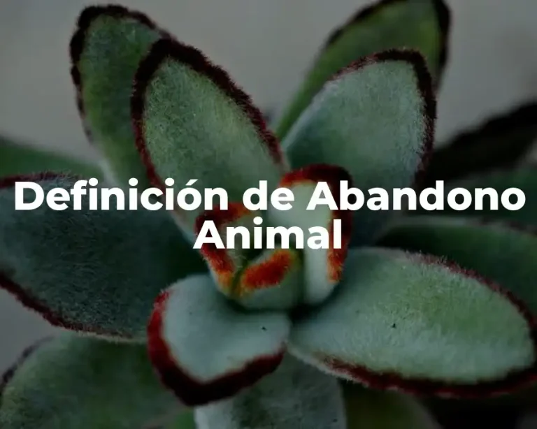 Definición de Abandono Animal