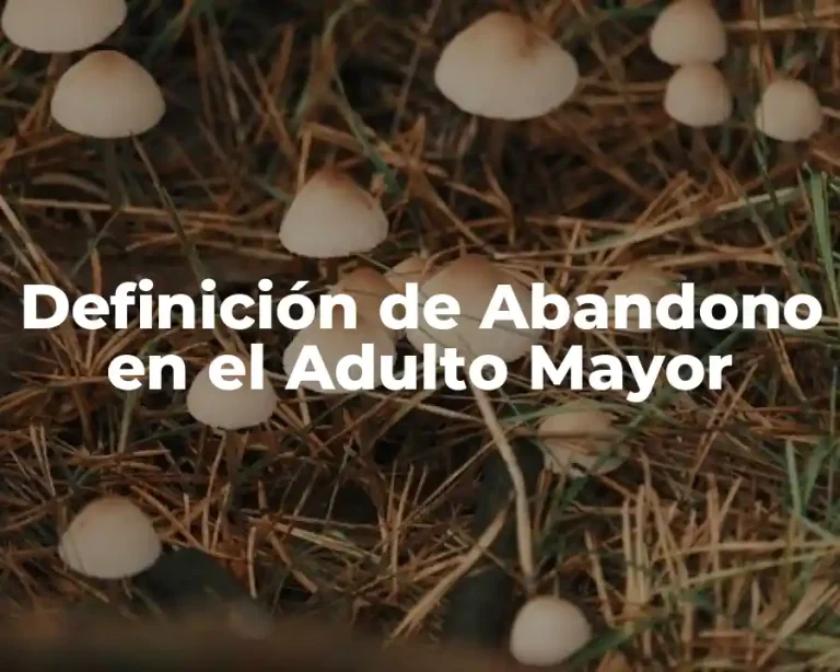 Definición de Abandono en el Adulto Mayor