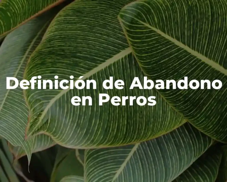 Definición de Abandono en Perros