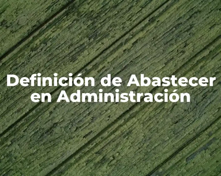 Definición de Abastecer en Administración