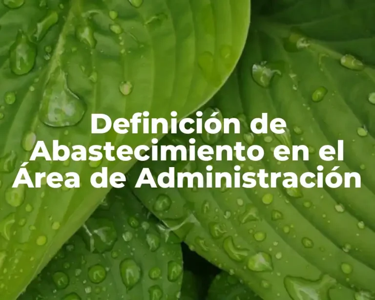 Definición de Abastecimiento en el Área de Administración