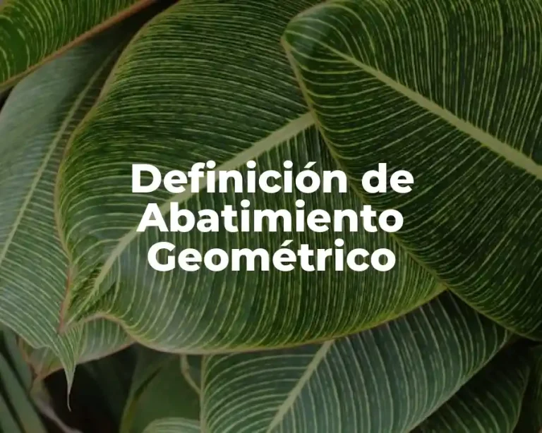 Definición de Abatimiento Geométrico