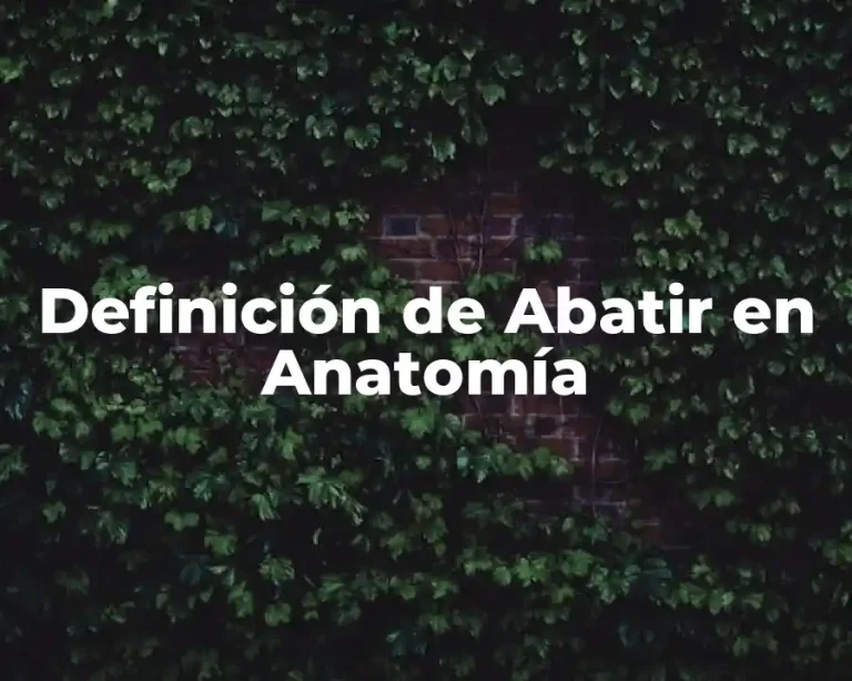 Definición de Abatir en Anatomía