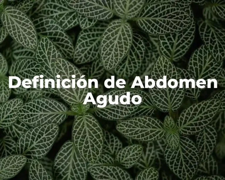 Definición de abdomen agudo