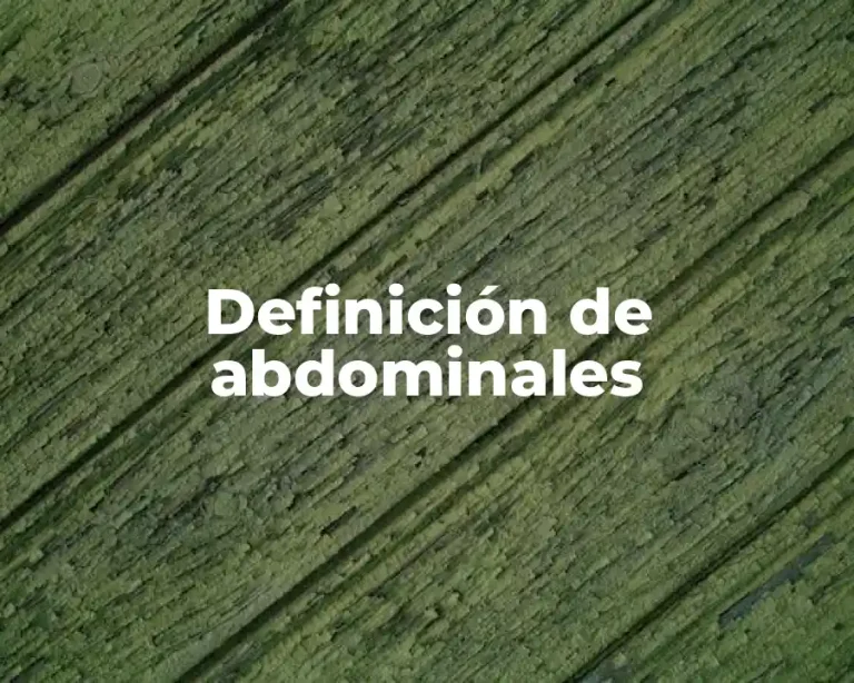 Definición de abdominales