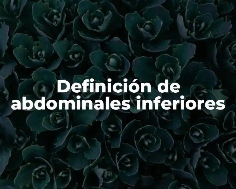 Definición de abdominales inferiores
