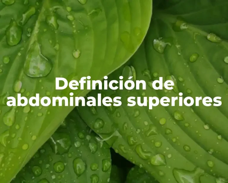 Definición de abdominales superiores