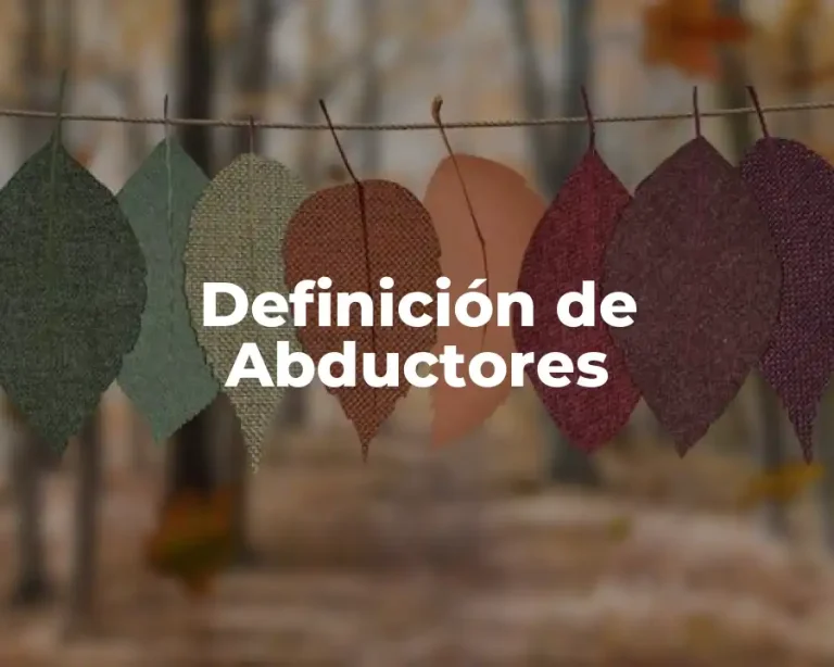 Definición de Abductores