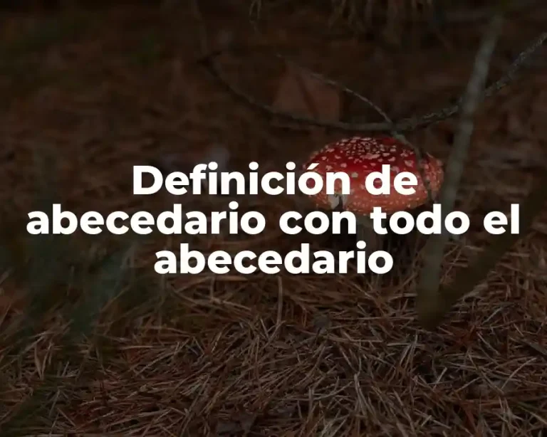 Definición de abecedario con todo el abecedario