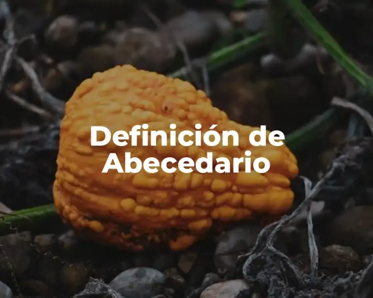 Definición de Abecedario