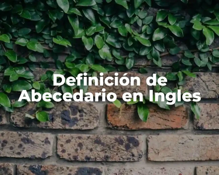 Definición de Abecedario en Ingles