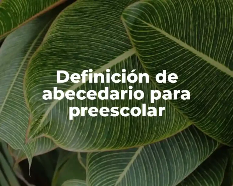 Definición de abecedario para preescolar