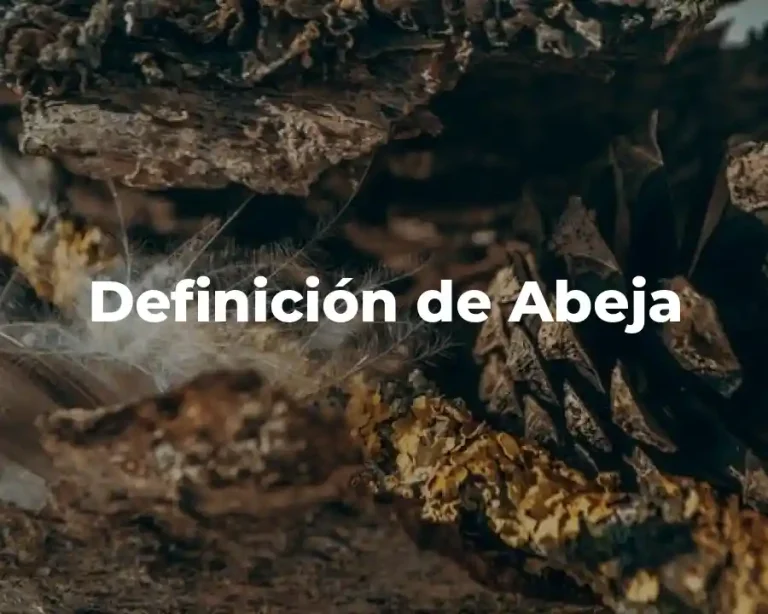 Definición de Abeja