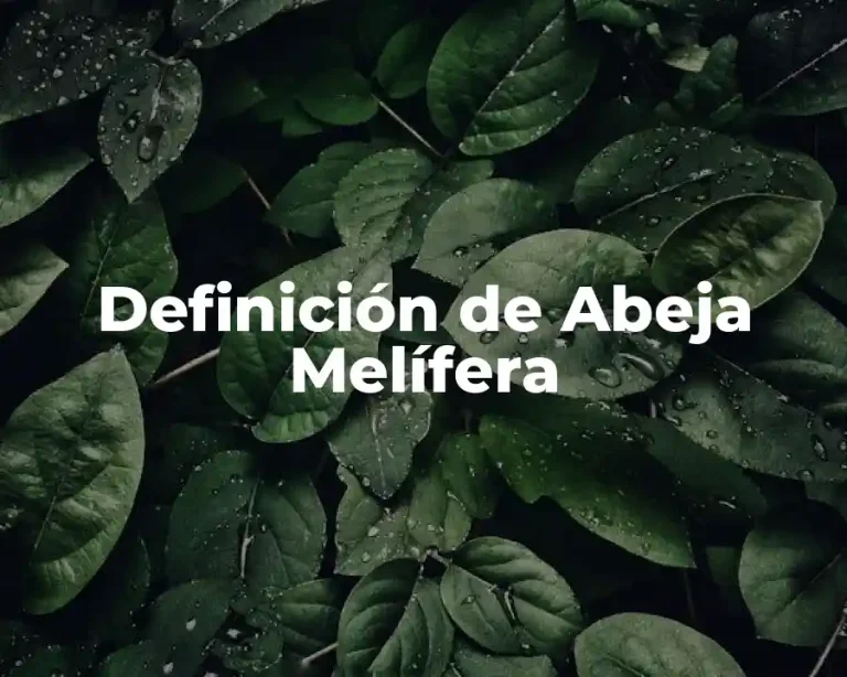 Definición de Abeja Melífera