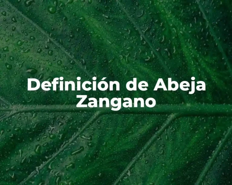 Definición de Abeja Zangano